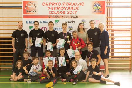 Skupinska Izlake 2017